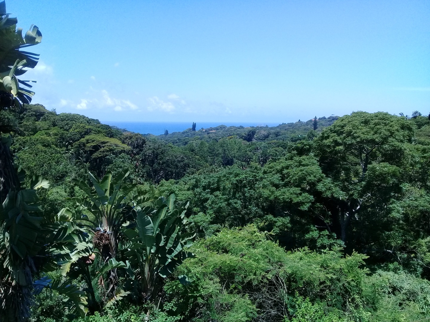 Vacant Land for Sale in Southbroom in Southbroom