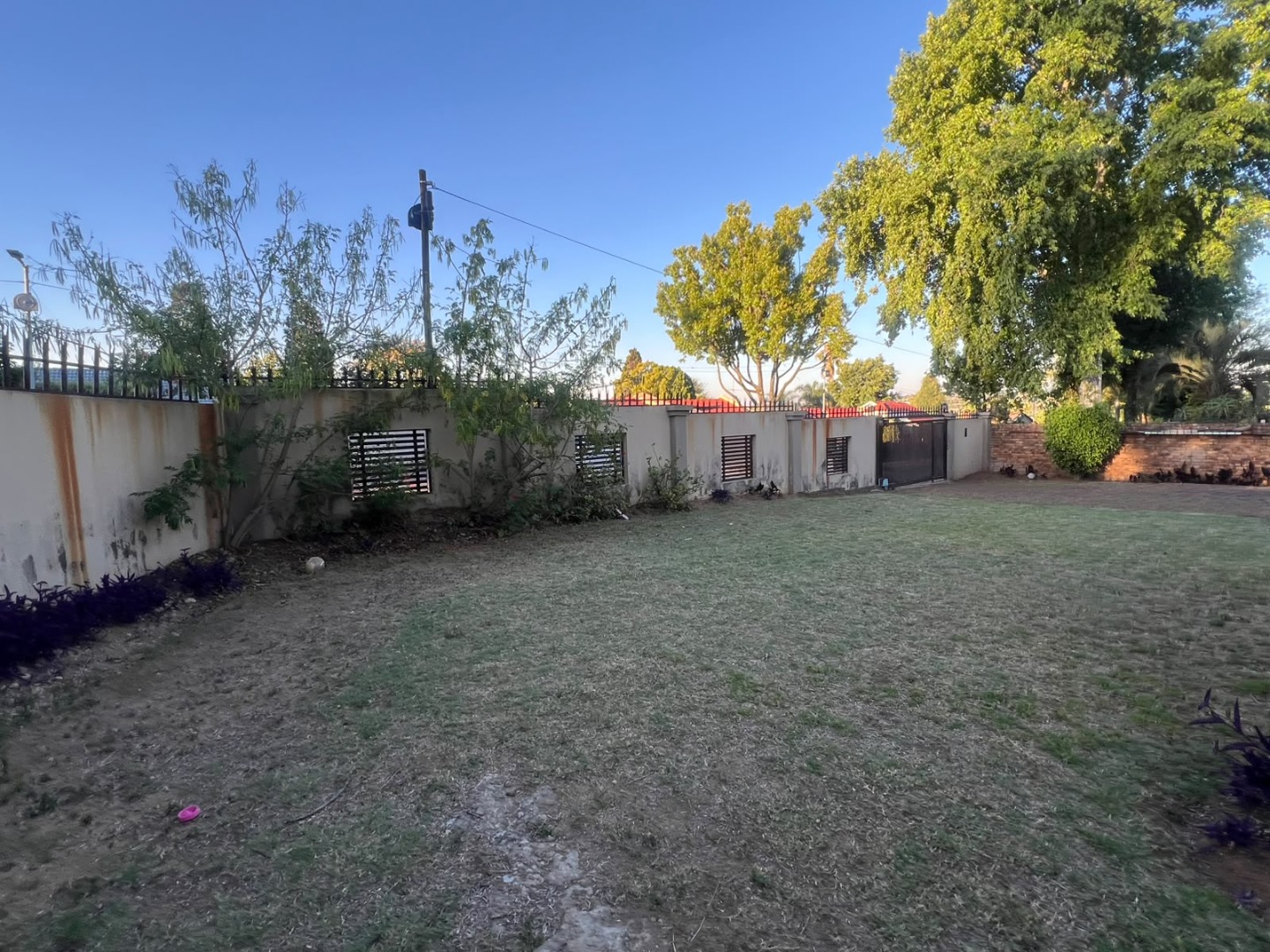 Frontyard