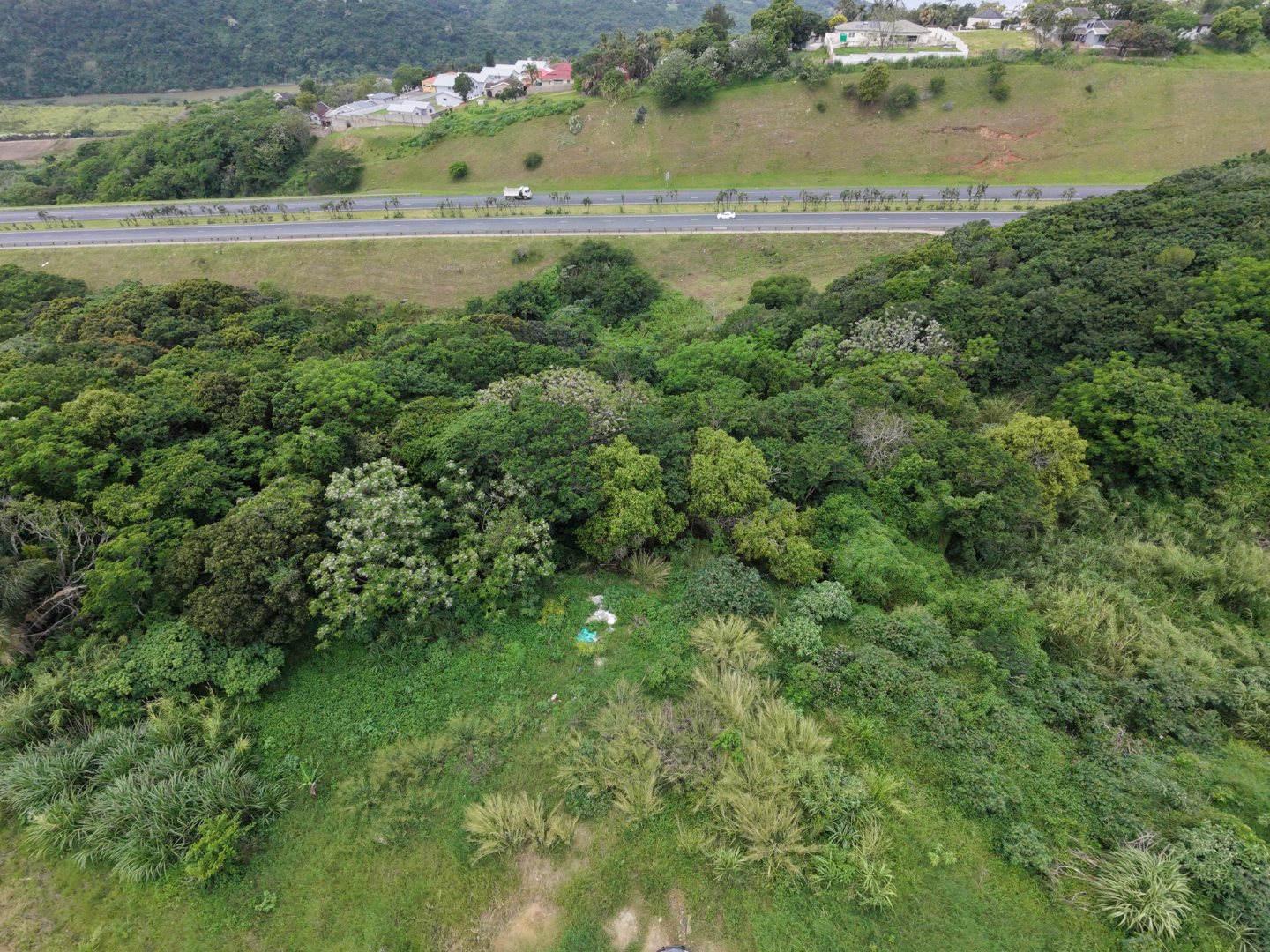 Vacant Land for Sale in Albersville in Albersville