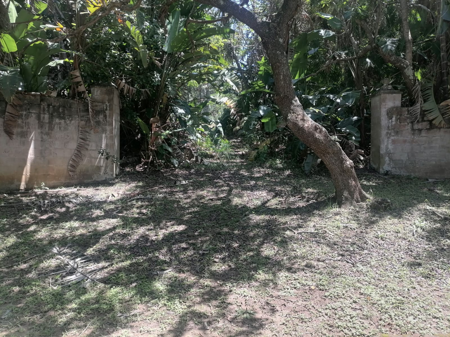 Vacant Land for Sale in Southbroom in Southbroom