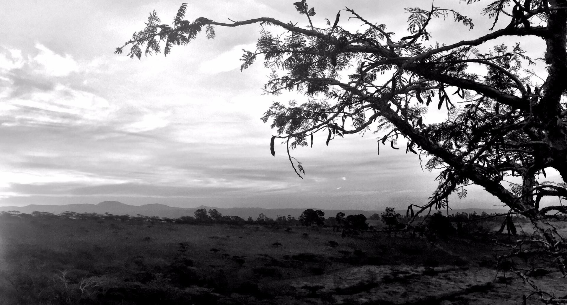 Vacant Land / Plot in Intaba Ridge Secure Eco Estate For Sale RE/MAX