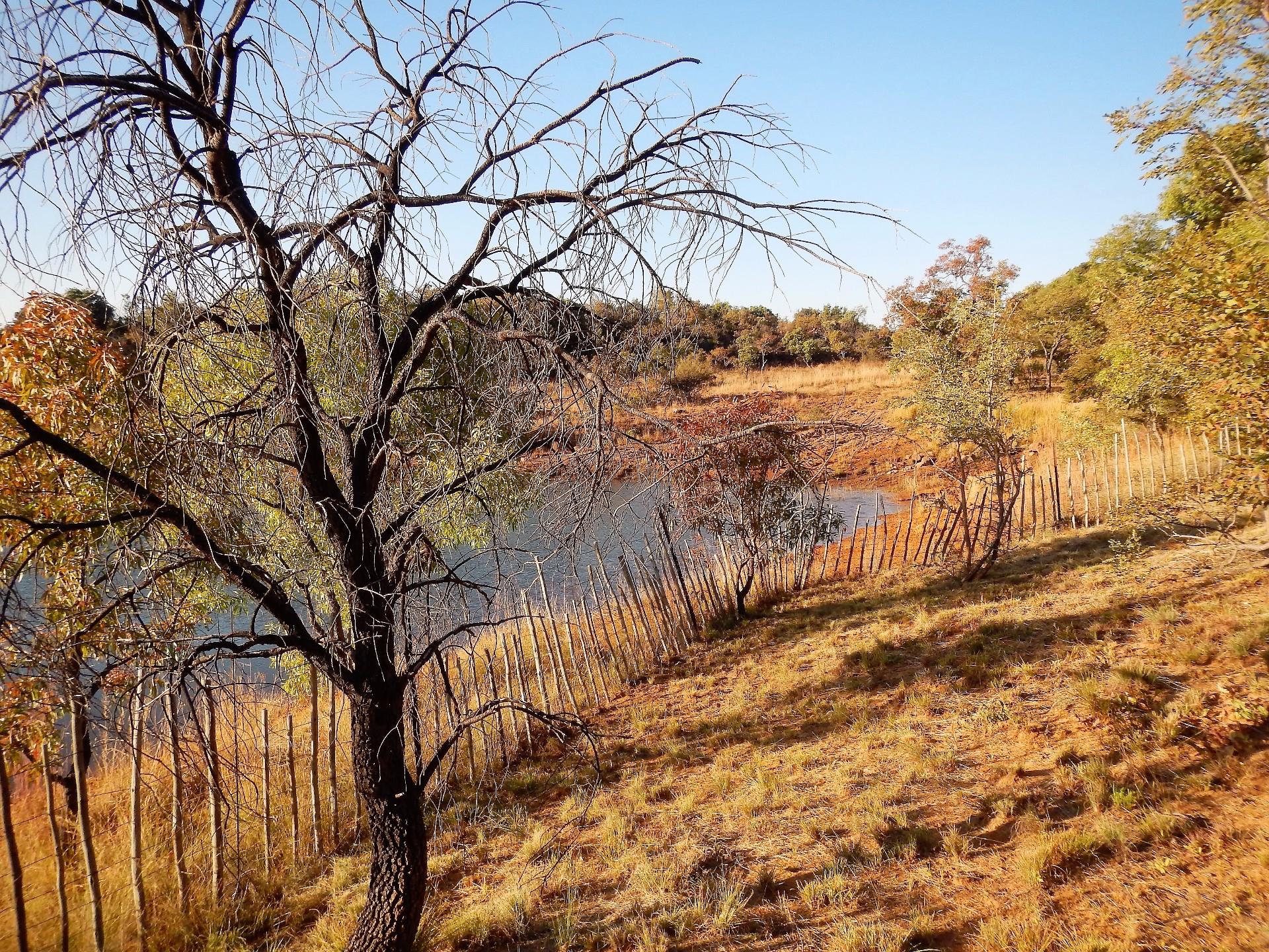 Vacant Land / Plot in Modimolle For Sale RE/MAX™ of Southern Africa