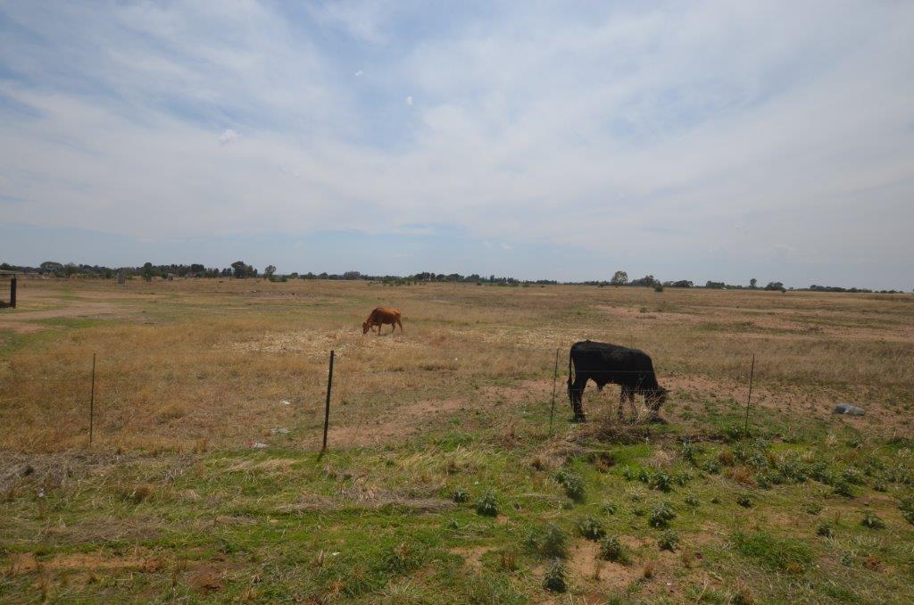 Vacant Land / Plot in Bloemfontein Rural For Sale RE/MAX™ of Southern