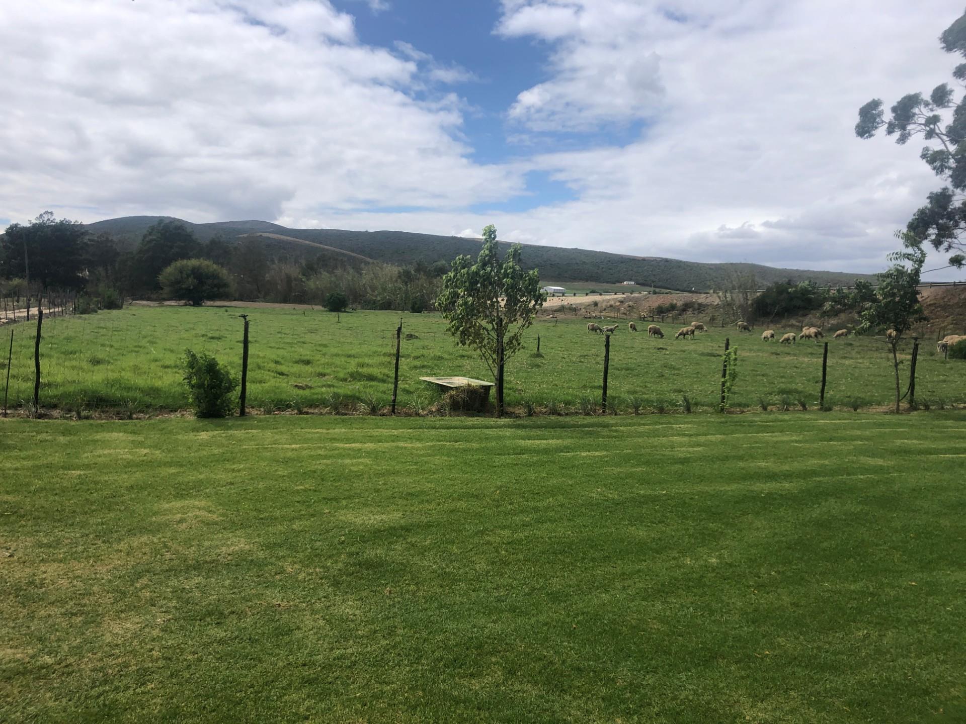 Property for sale in Herbertsdale RE/MAX™ of Southern Africa