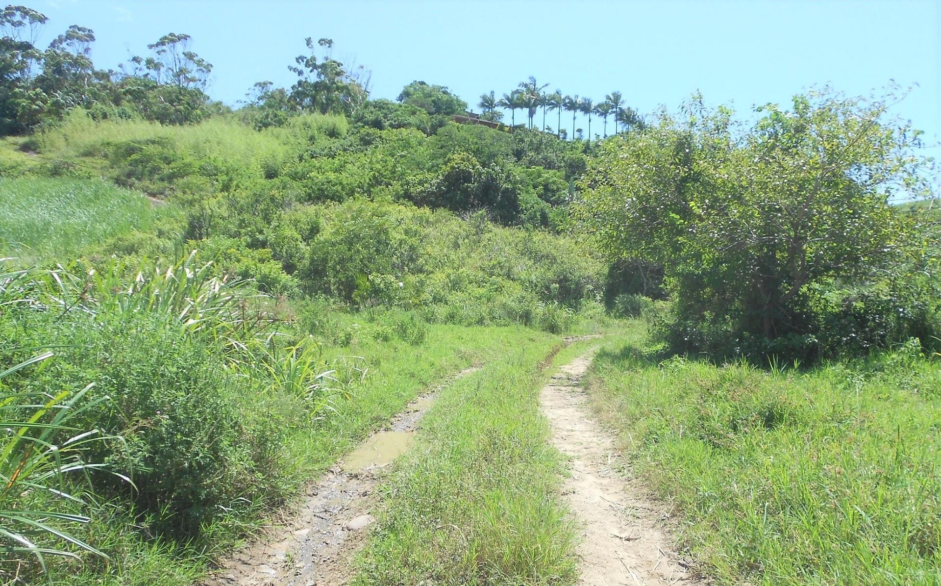 Vacant Land / Plot in Elysium For Sale RE/MAX™ of Southern Africa