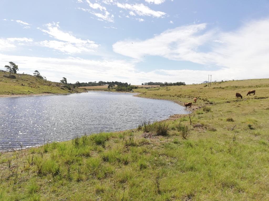 Farm in Van Stadens For Sale RE/MAX™ of Southern Africa