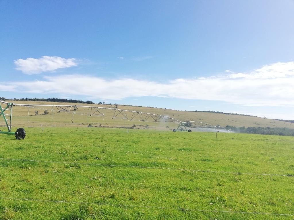 Farm in Van Stadens For Sale RE/MAX™ of Southern Africa