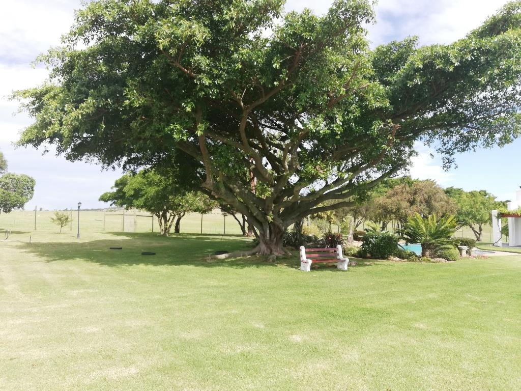 Farm in Van Stadens For Sale RE/MAX™ of Southern Africa