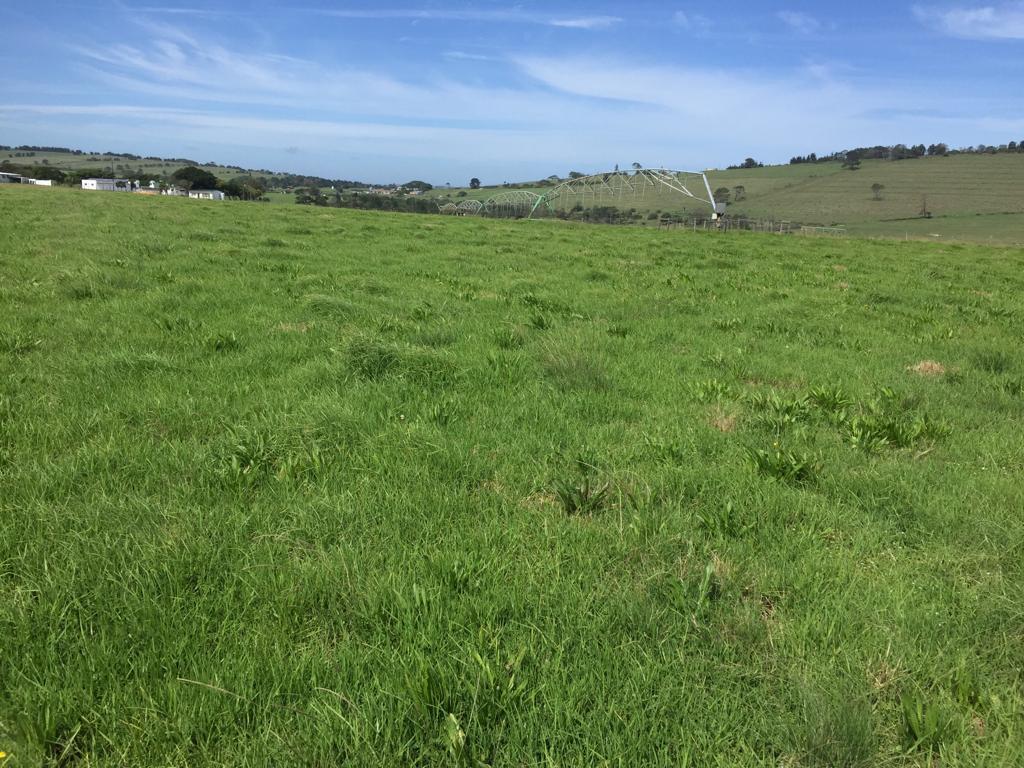 Farm in Van Stadens For Sale RE/MAX™ of Southern Africa