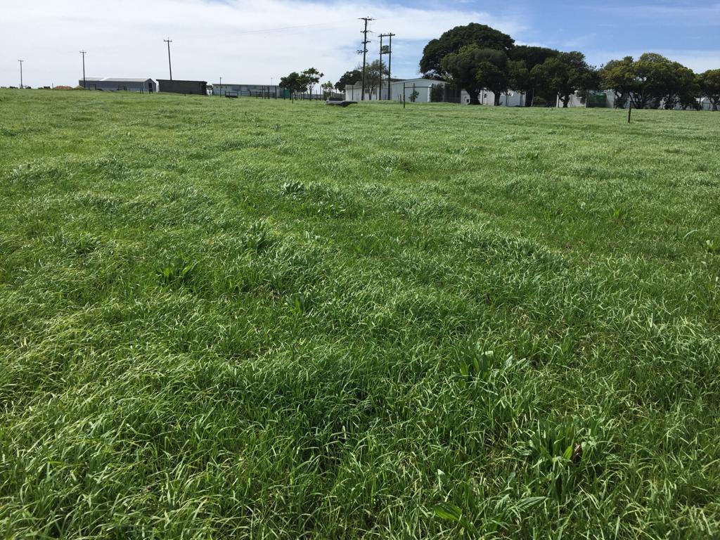 Farm in Van Stadens For Sale RE/MAX™ of Southern Africa