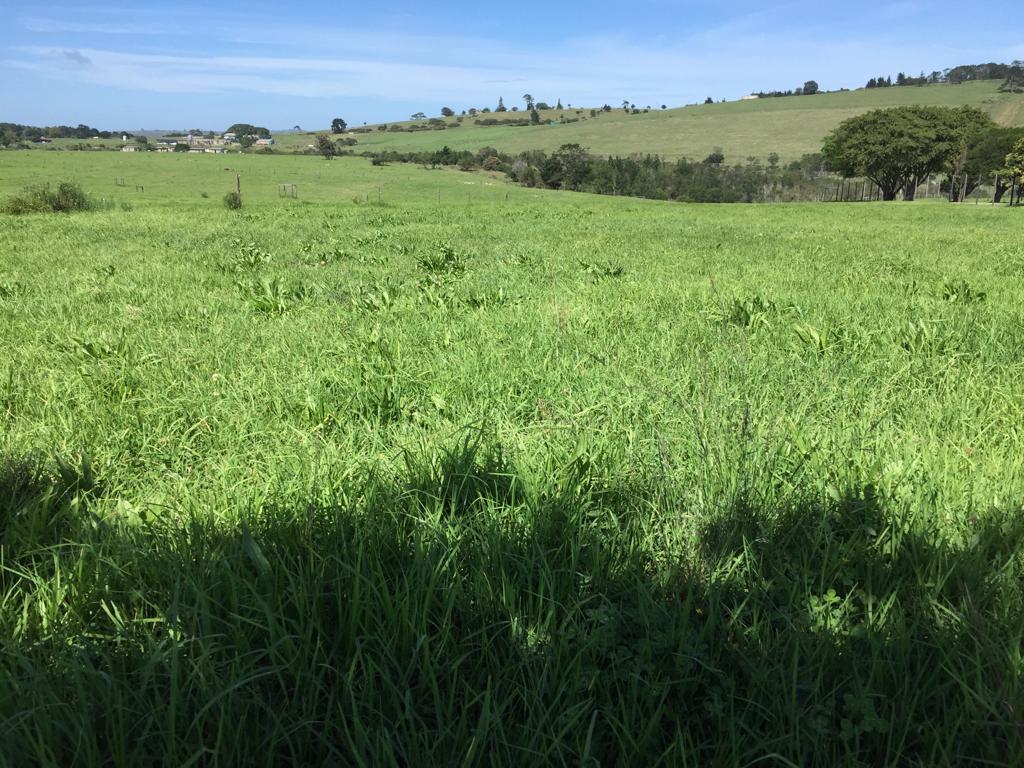 Farm in Van Stadens For Sale RE/MAX™ of Southern Africa