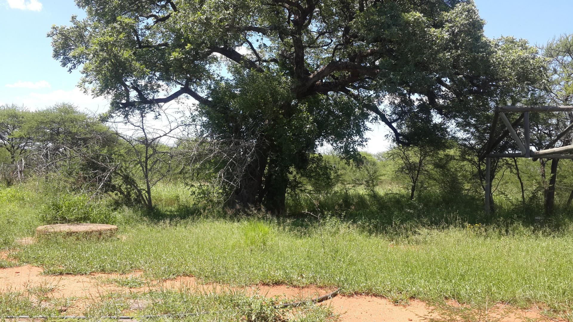 Vacant Land / Plot in Bela Bela For Sale RE/MAX™ of Southern Africa