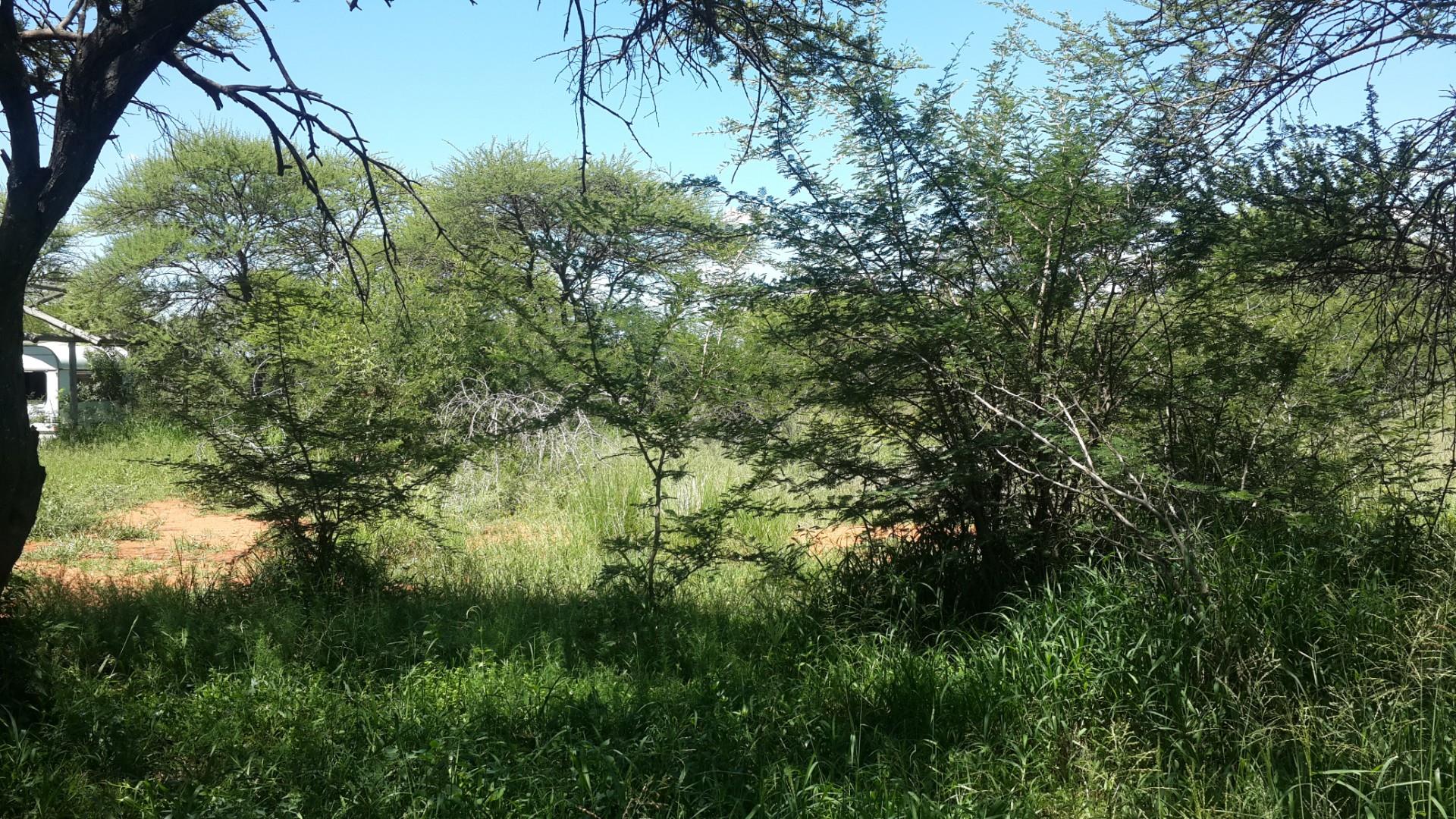 Vacant Land / Plot in Bela Bela For Sale RE/MAX™ of Southern Africa