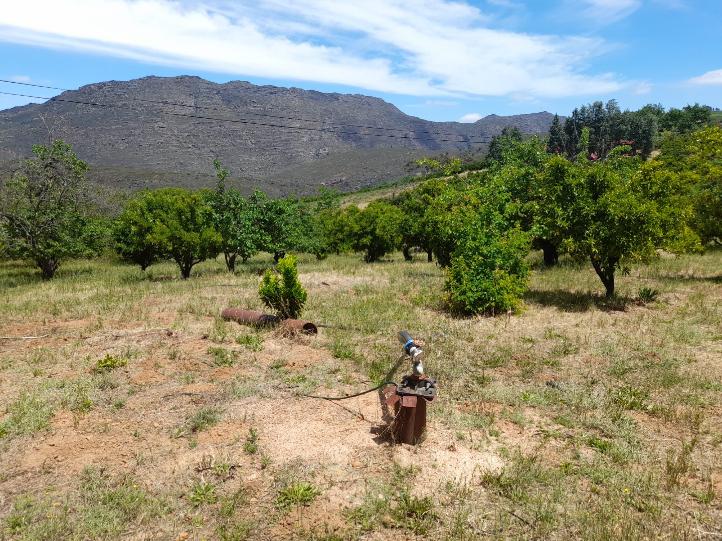 Farm in Piketberg Rural For Sale RE/MAX™ of Southern Africa