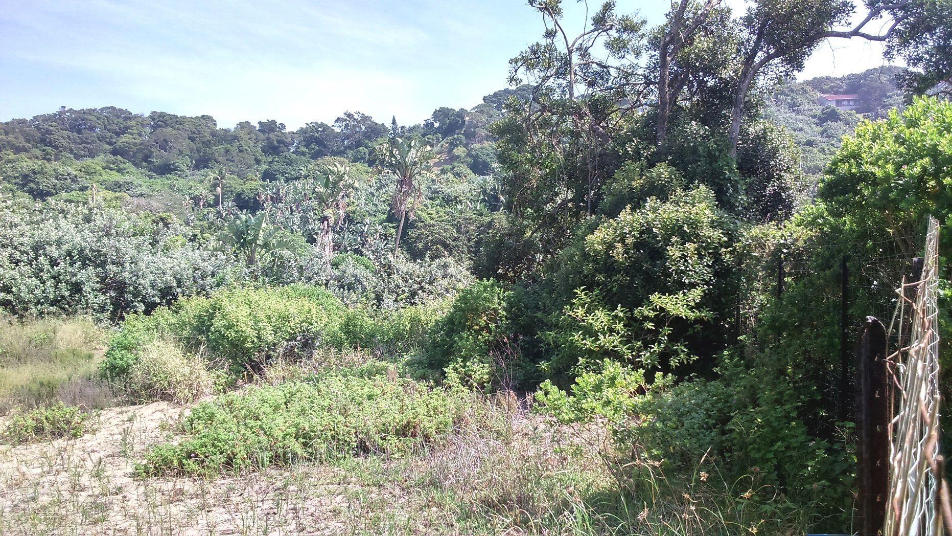 Vacant Land / Plot in Trafalgar For Sale RE/MAX™ of Southern Africa