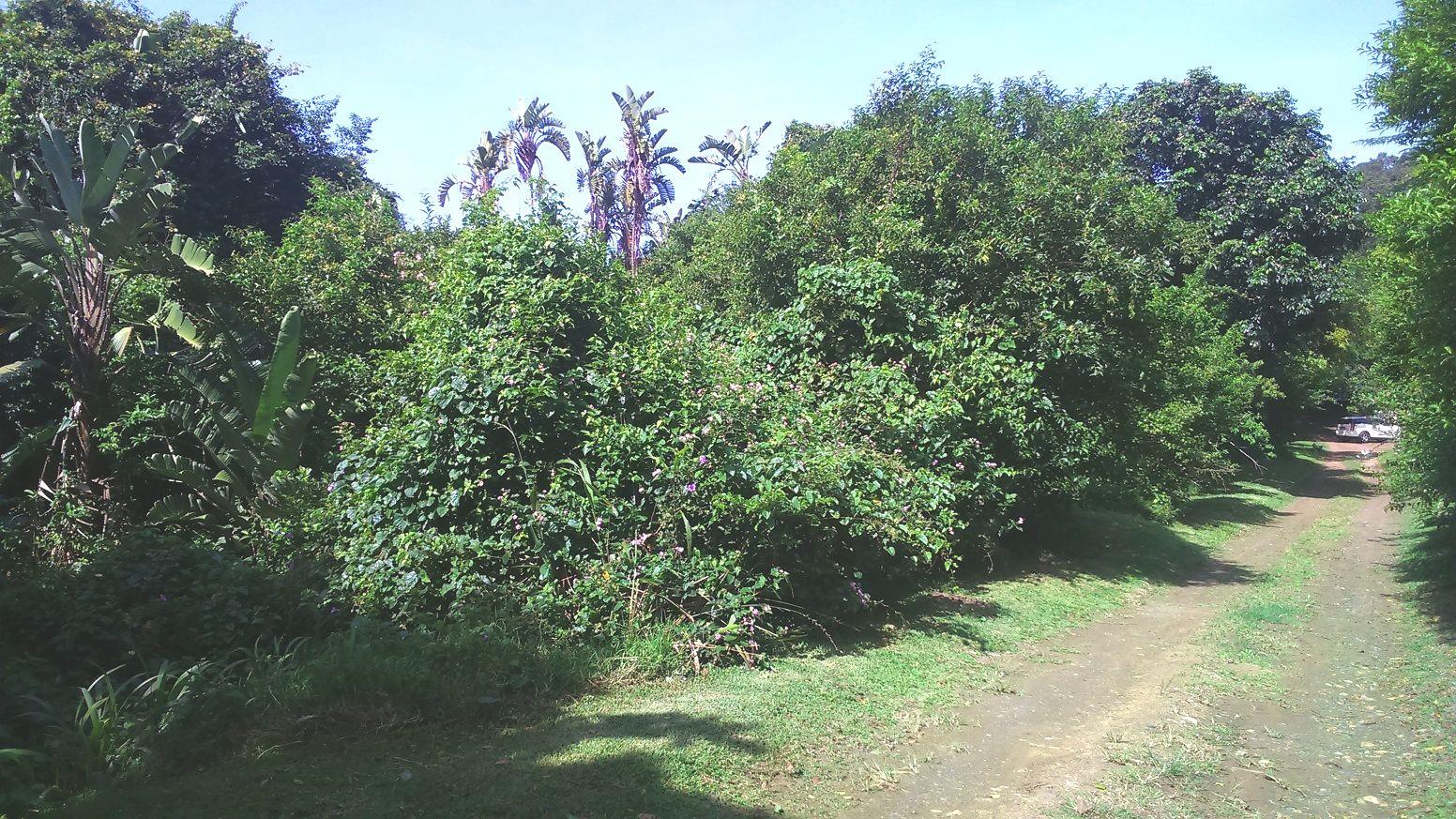 Vacant Land / Plot in Trafalgar For Sale RE/MAX™ of Southern Africa