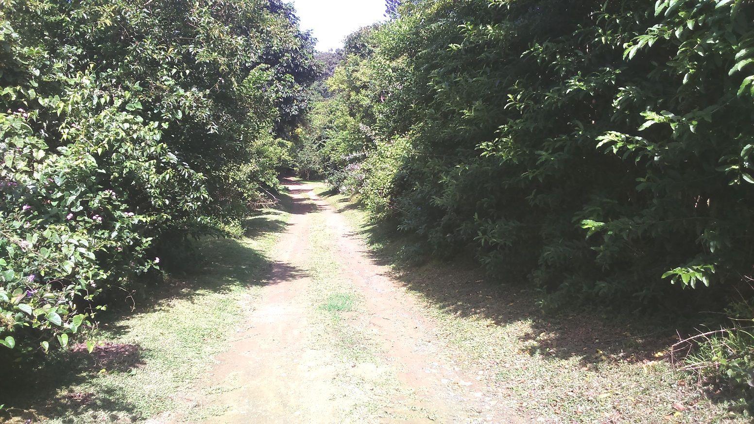 Vacant Land / Plot in Trafalgar For Sale RE/MAX™ of Southern Africa