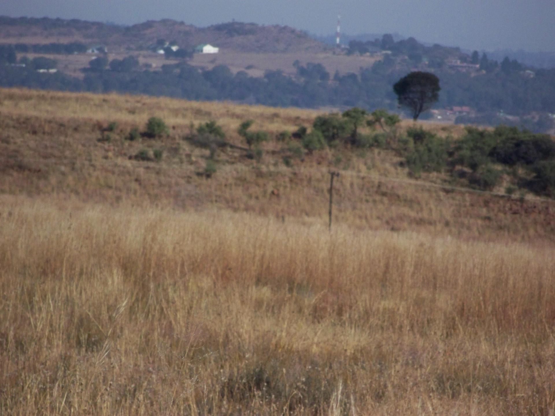 Vacant Land / Plot in Walkerville Manor For Sale RE/MAX™ of Southern