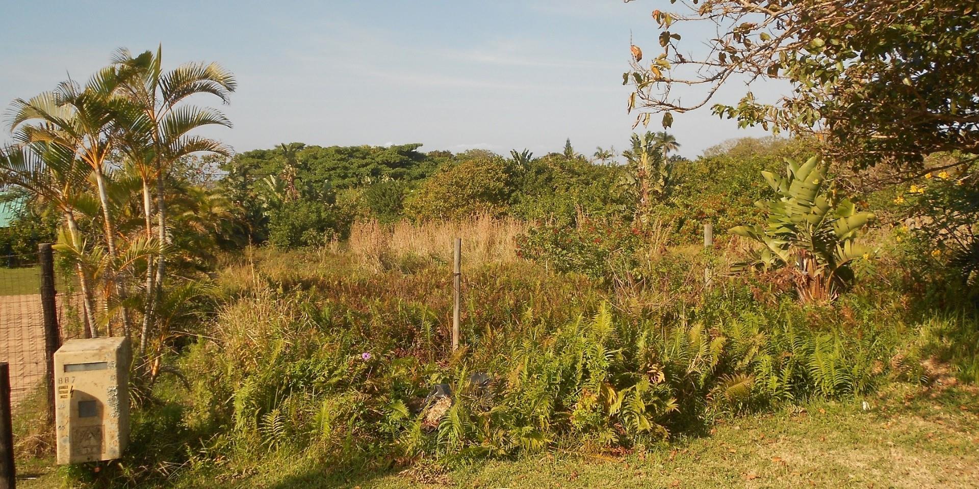 Vacant Land / Plot in Port Edward For Sale RE/MAX™ of Southern Africa