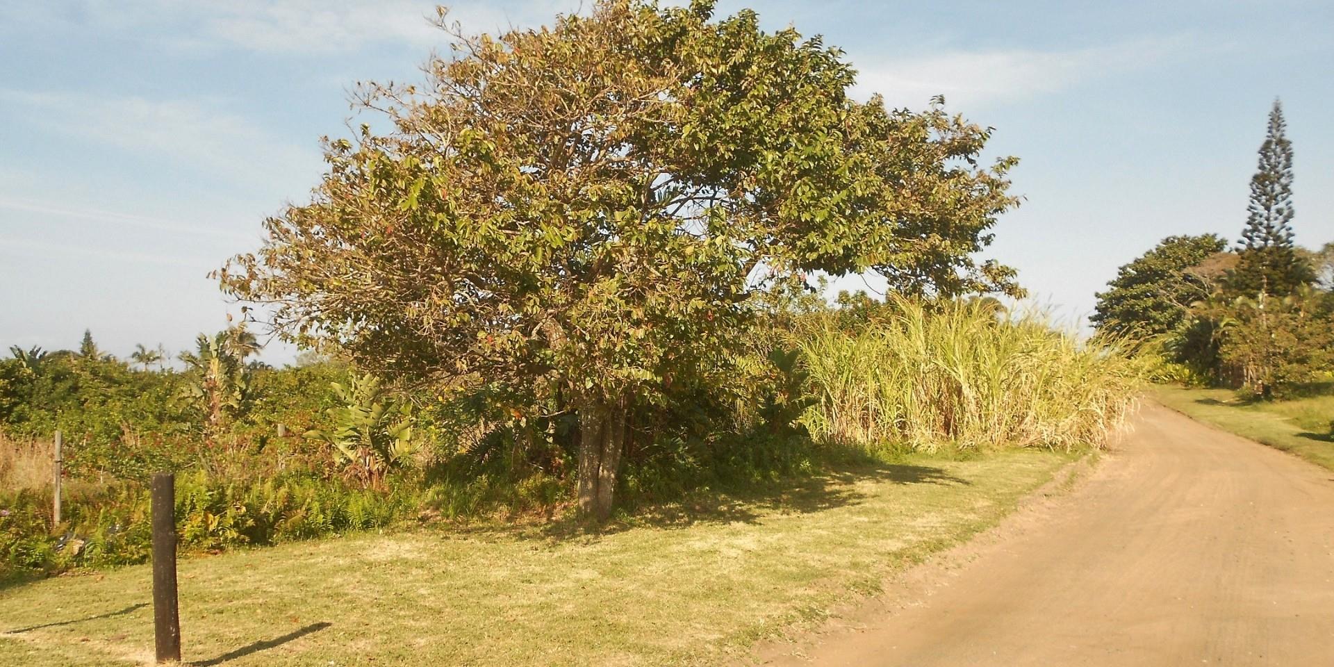 Vacant Land / Plot in Port Edward For Sale RE/MAX™ of Southern Africa
