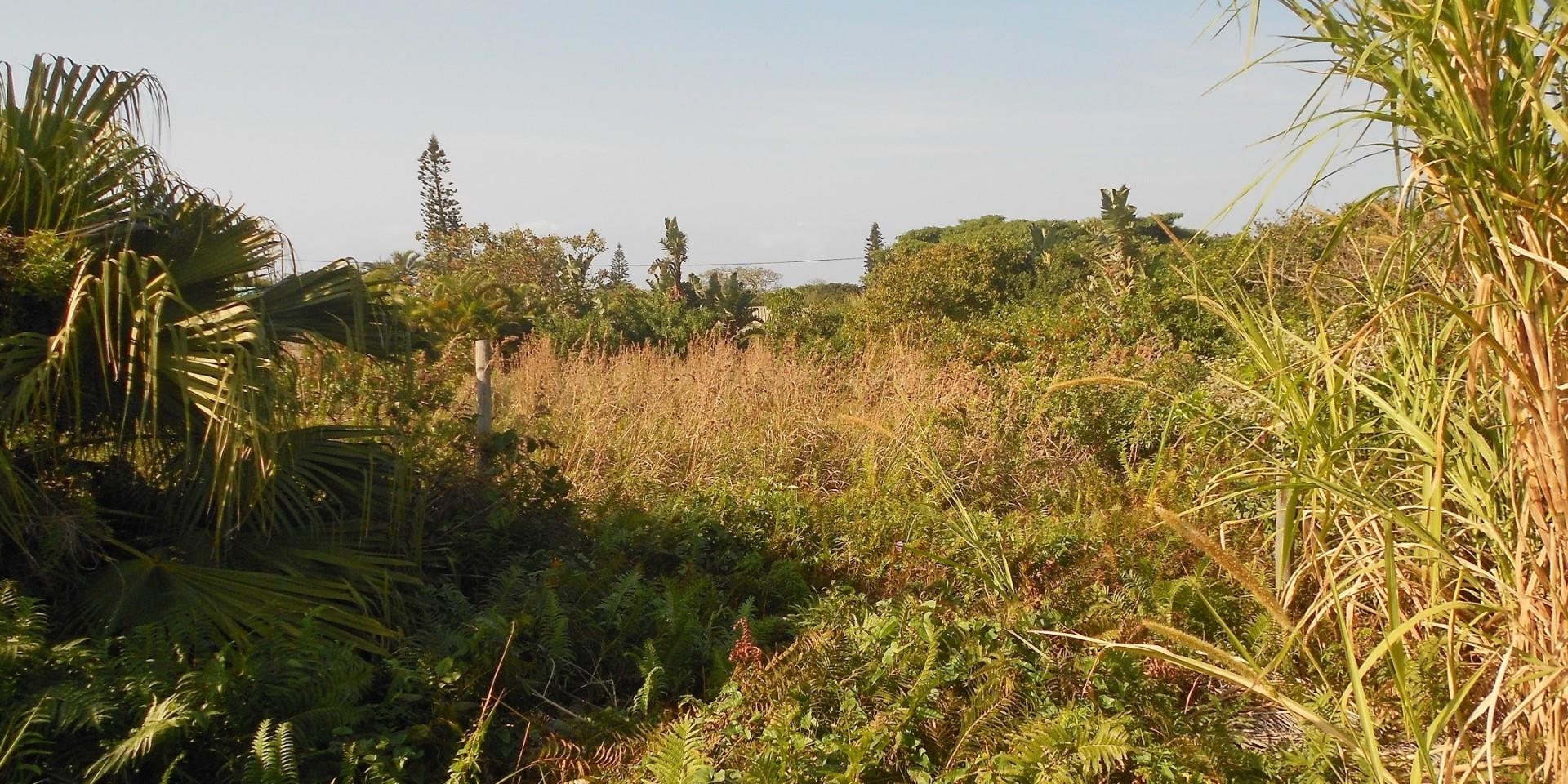 Vacant Land / Plot in Port Edward For Sale RE/MAX™ of Southern Africa