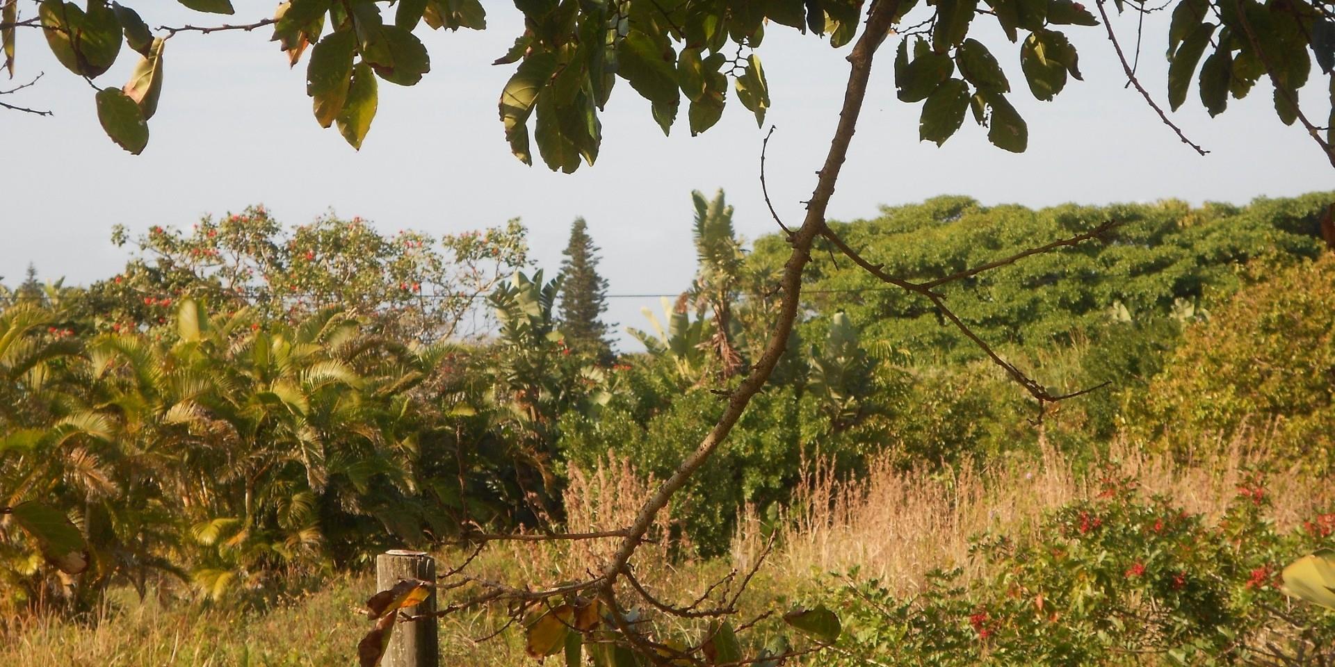 Vacant Land / Plot in Port Edward For Sale RE/MAX™ of Southern Africa