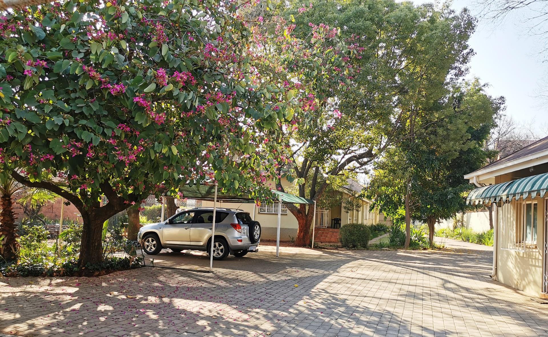 Commercial Property in Arcadia For Sale RE/MAX™ of Southern Africa