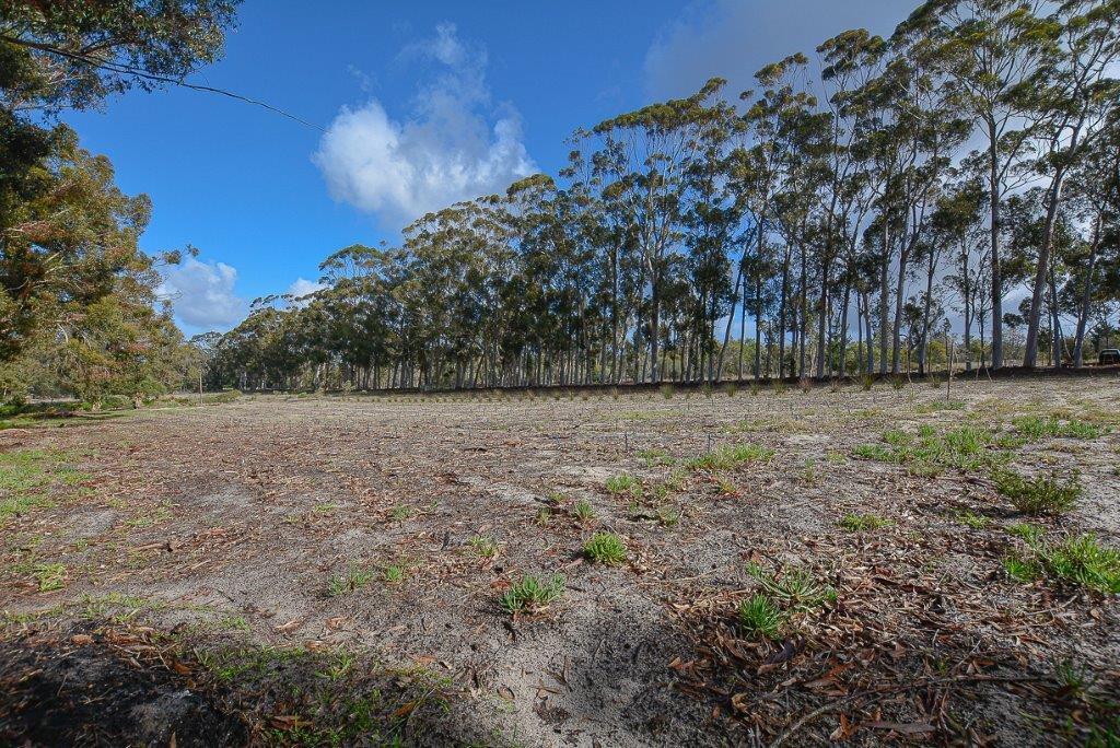 Farm in Cape Farms For Sale RE/MAX™ of Southern Africa