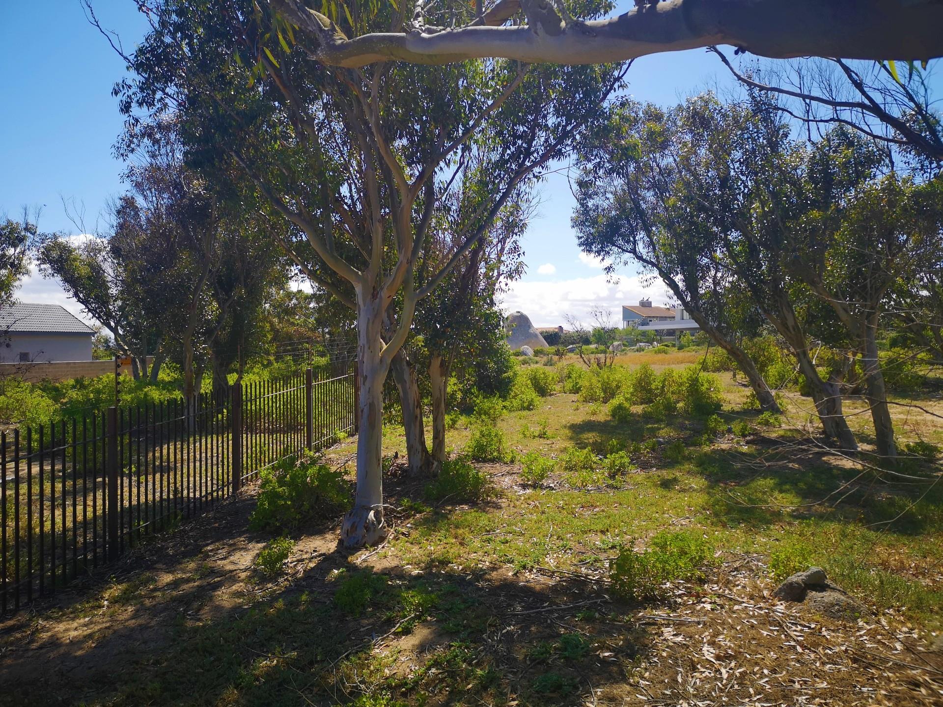Vacant Land / Plot in Langebaan Country Estate For Sale RE/MAX™ of