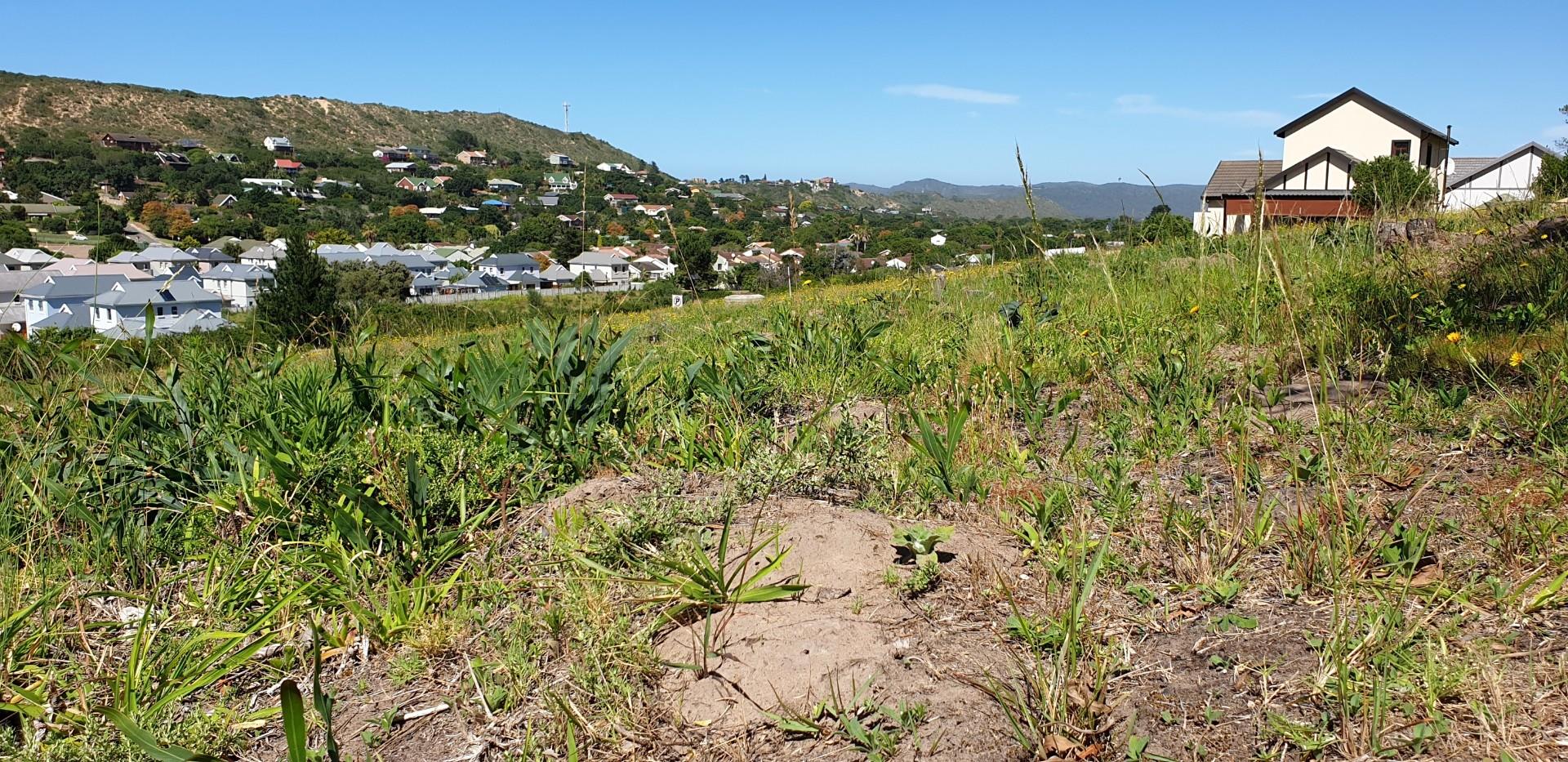 3 Bedroom House For Sale in Sedgefield Central RE/MAX™ of Southern Africa