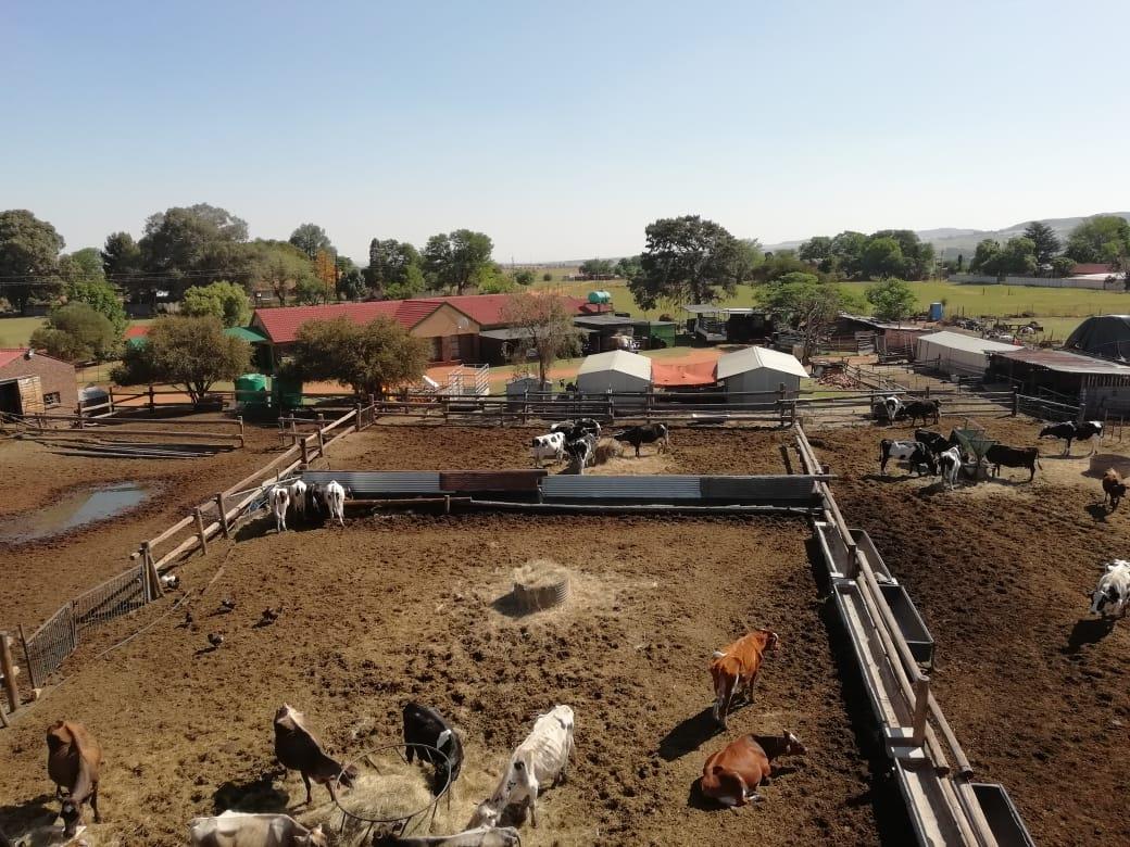 Farm in Heidelberg Kloof Estate For Sale RE/MAX™ of Southern Africa