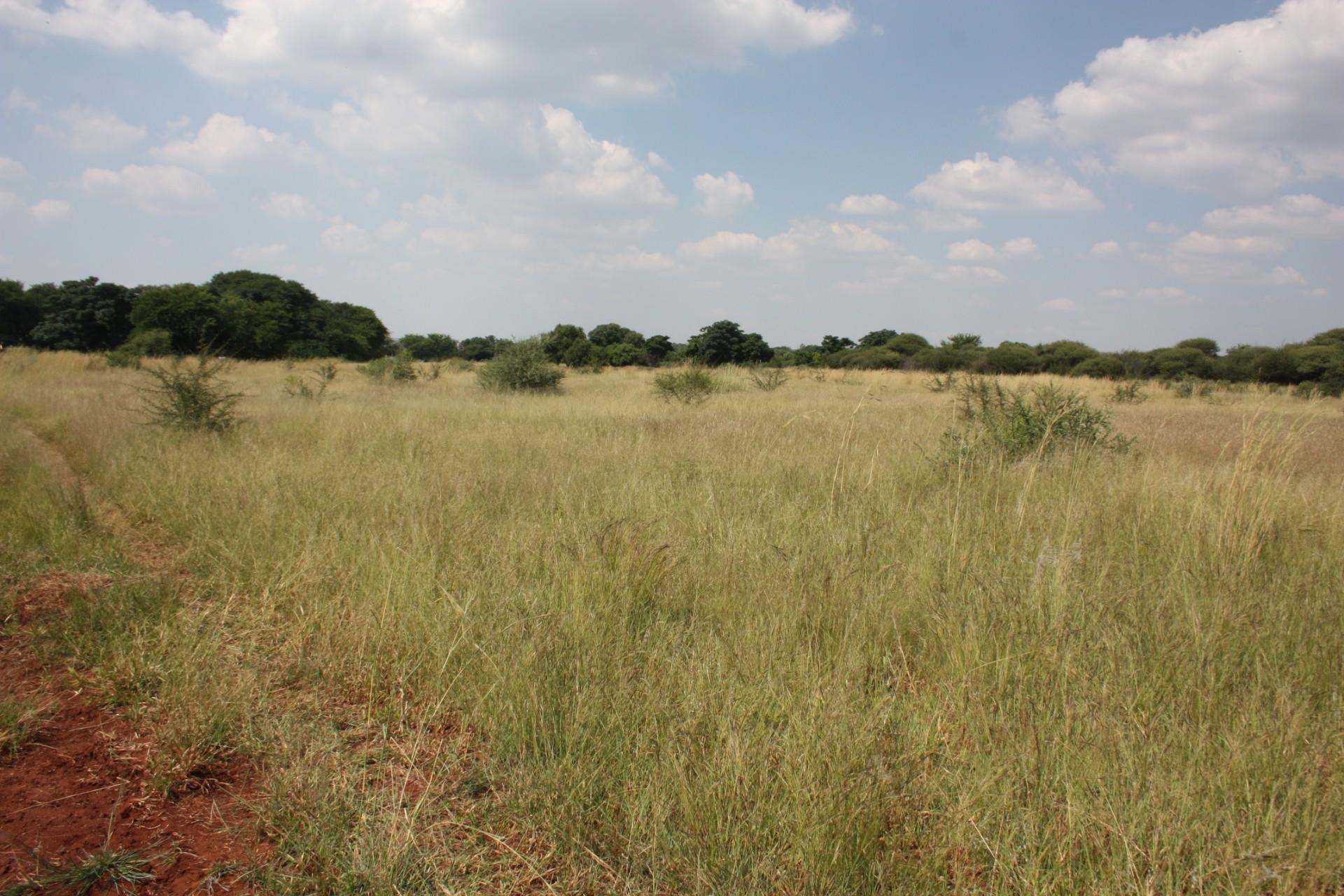 Farm in Zilkaatsnek AH For Sale RE/MAX™ of Southern Africa