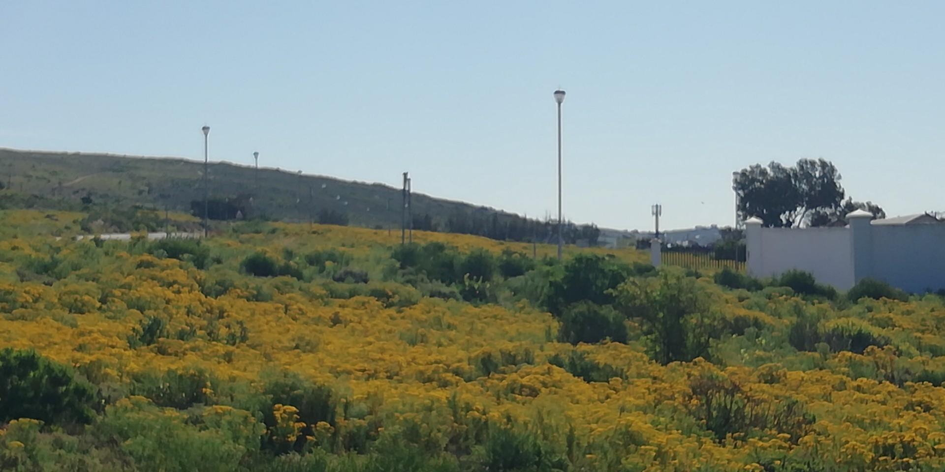 Property and houses for sale in St Helena Bay, Western Cape RE/MAX