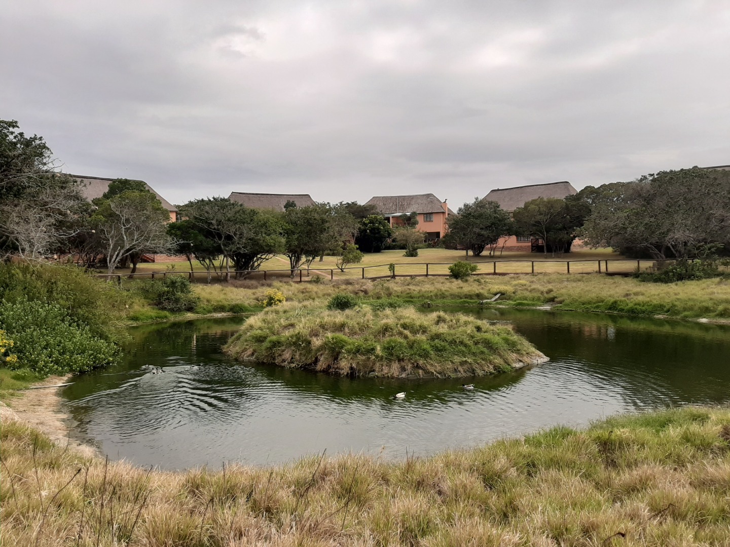 Property and houses to rent in Port Alfred, Eastern Cape RE/MAX