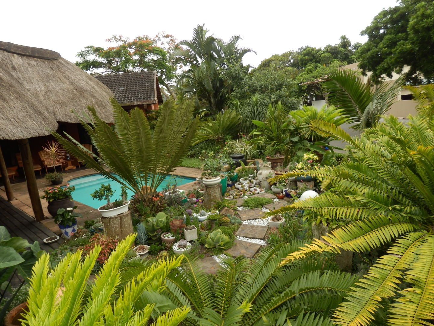 Property and houses for sale in St Lucia, KwaZulu Natal RE/MAX Property and houses for sale in St Lucia, KwaZulu Natal RE/MAX