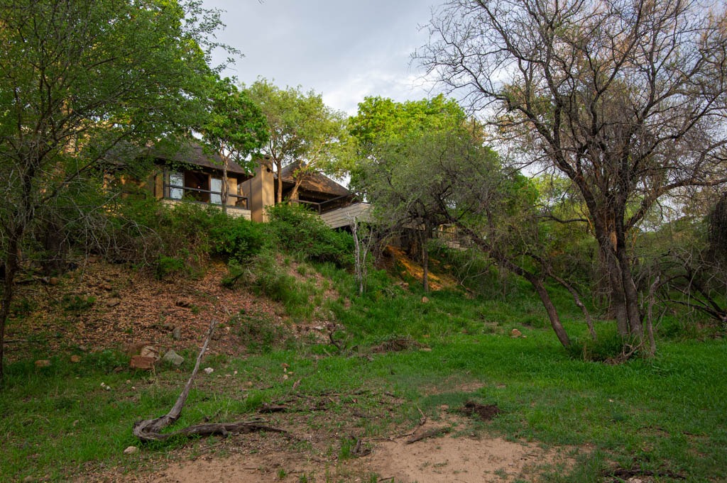 4 Bedroom House For Sale in Leadwood Big Game Estate RE/MAX™ of Southern Africa