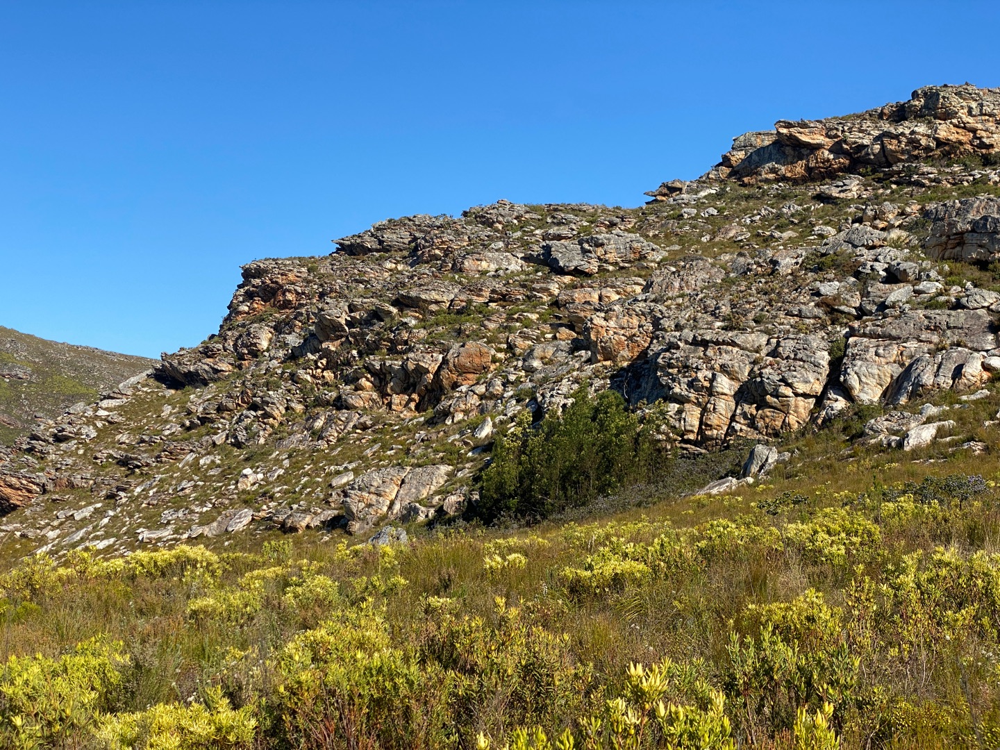 Farm in Herbertsdale For Sale RE/MAX™ of Southern Africa