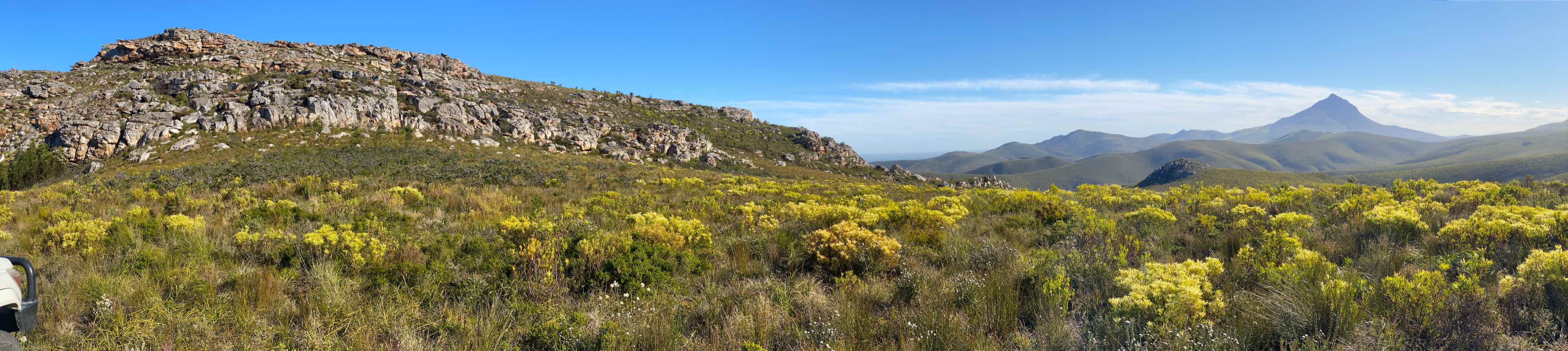 Farm in Herbertsdale For Sale RE/MAX™ of Southern Africa