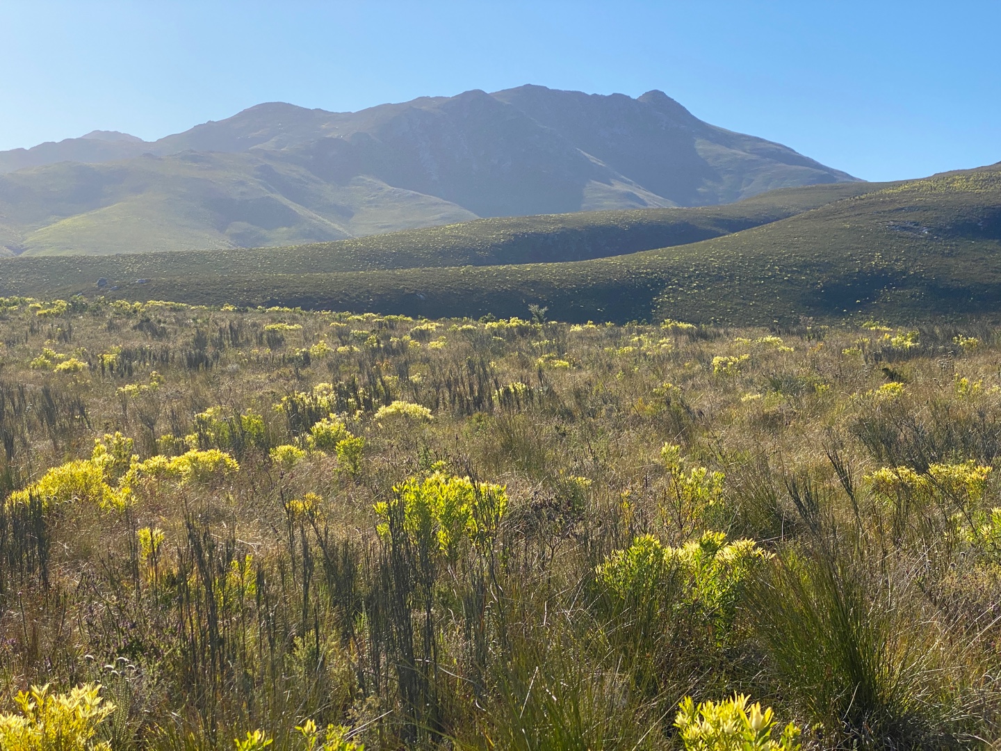 Farm in Herbertsdale For Sale RE/MAX™ of Southern Africa