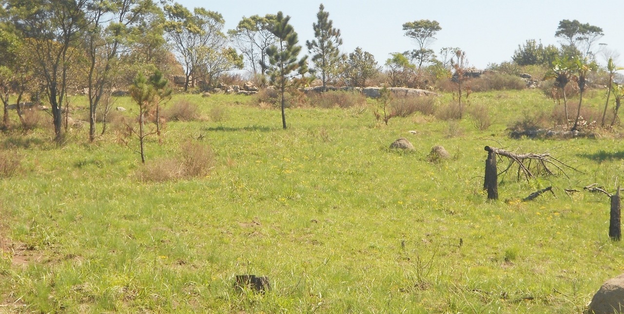 Vacant Land / Plot in Margate For Sale RE/MAX™ of Southern Africa