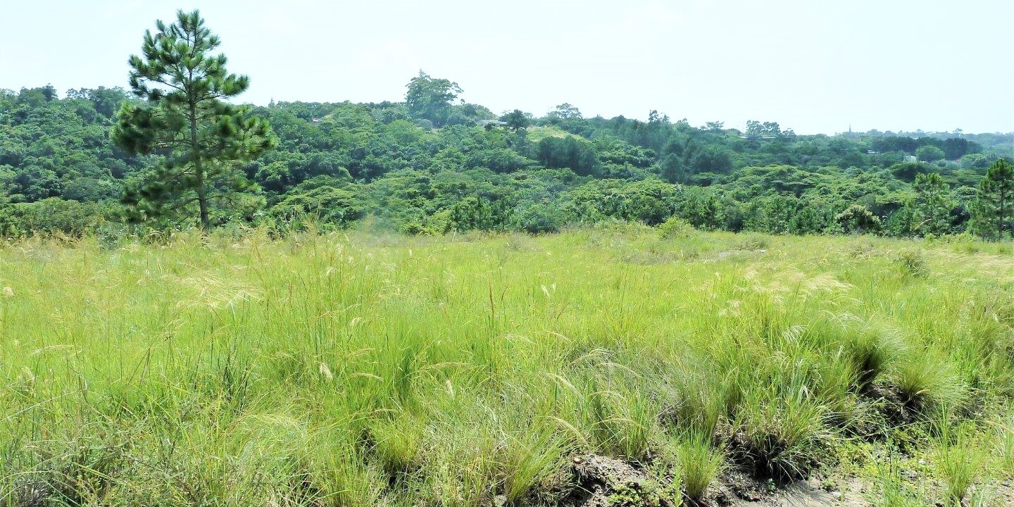 Vacant Land / Plot in Margate For Sale RE/MAX™ of Southern Africa