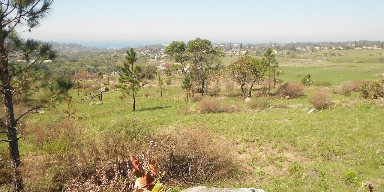Vacant Land / Plot in Margate For Sale RE/MAX™ of Southern Africa