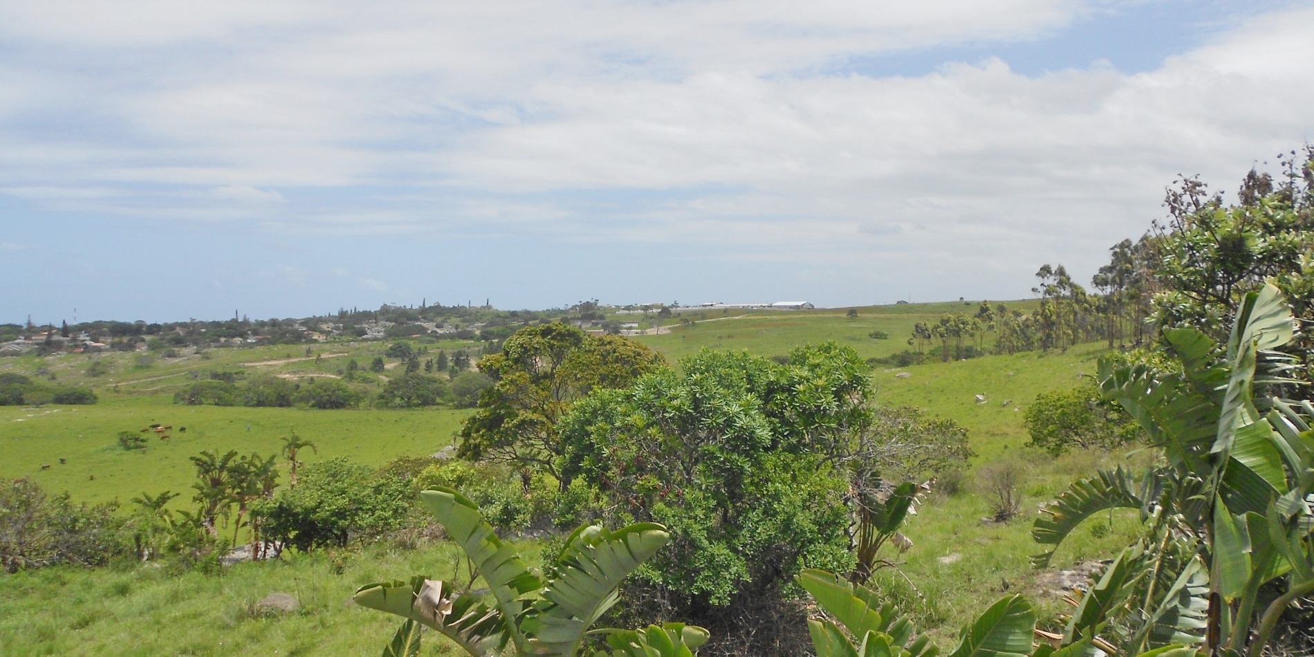 Vacant Land / Plot in Margate For Sale RE/MAX™ of Southern Africa