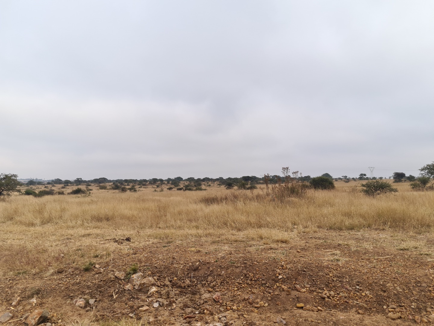 Vacant Land / Plot in Polokwane Rural For Sale RE/MAX™ of Southern Africa