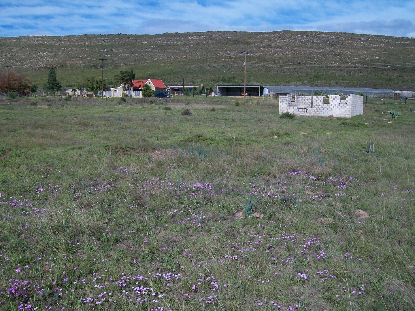 Vacant Land / Plot in Joubertina For Sale RE/MAX™ of Southern Africa