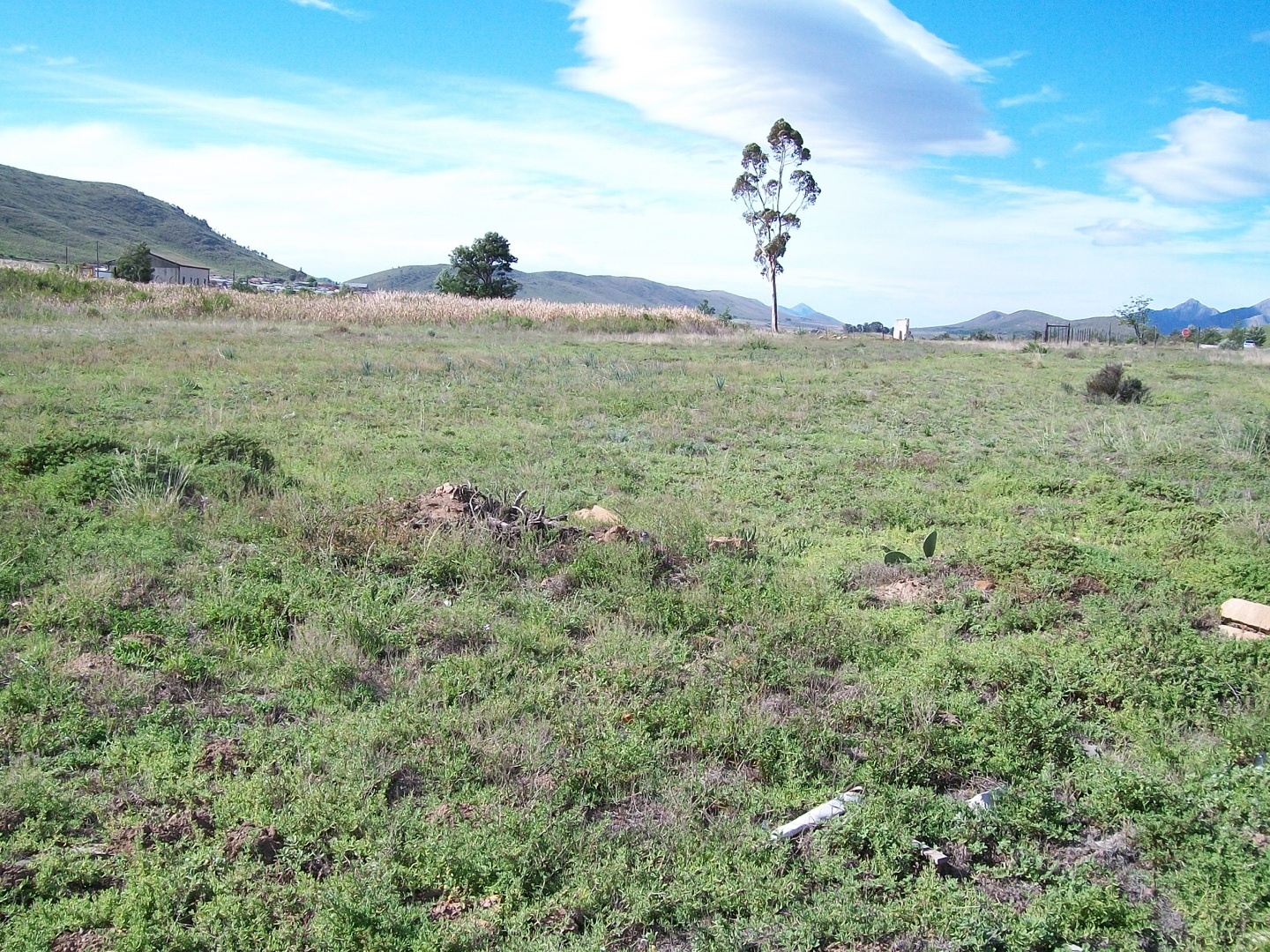 Vacant Land / Plot in Joubertina For Sale RE/MAX™ of Southern Africa