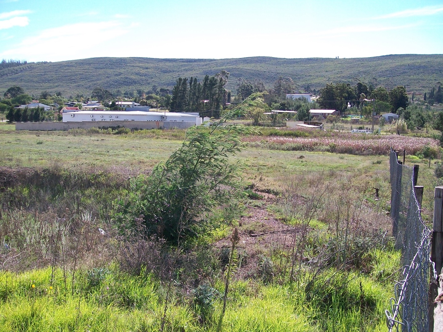 Vacant Land / Plot in Joubertina For Sale RE/MAX™ of Southern Africa
