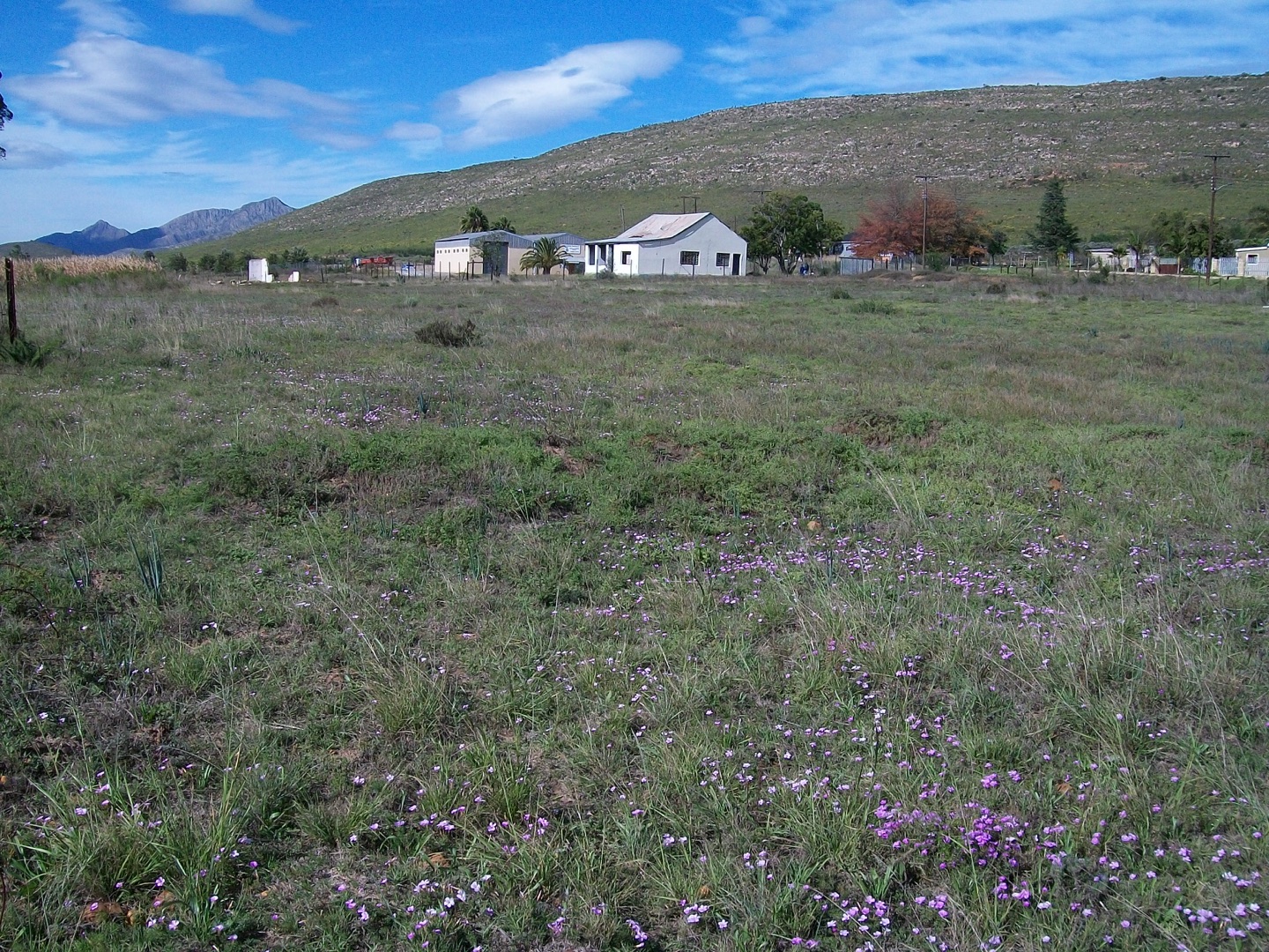 Vacant Land / Plot in Joubertina For Sale RE/MAX™ of Southern Africa