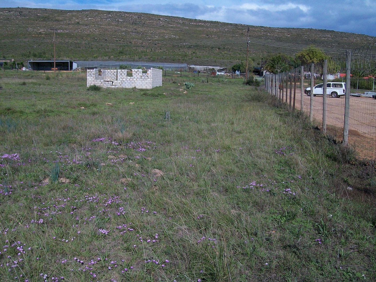 Vacant Land / Plot in Joubertina For Sale RE/MAX™ of Southern Africa