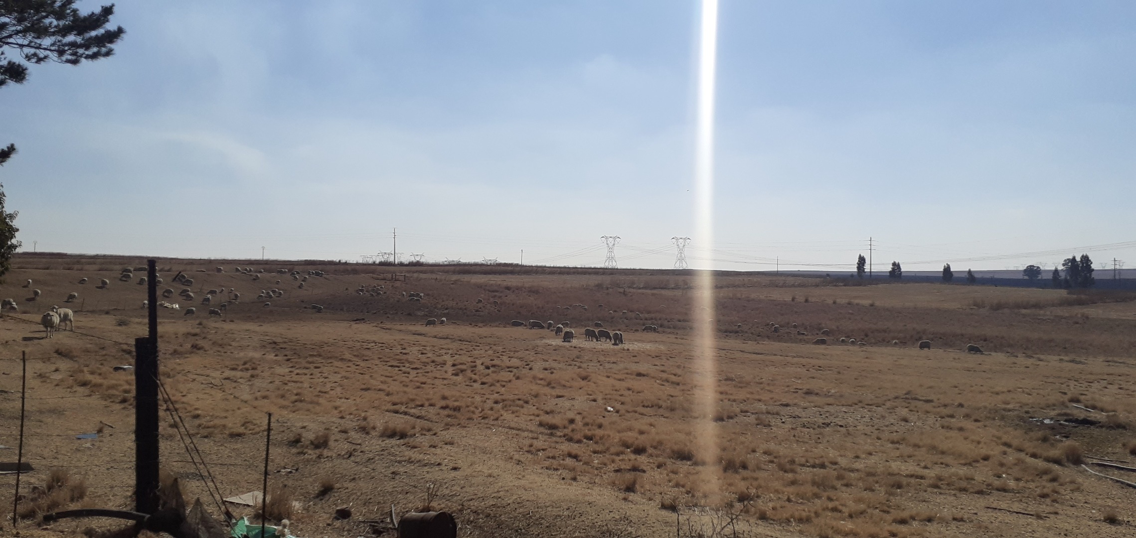 Farm in Kinross For Sale RE/MAX™ of Southern Africa